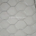 Treillis métallique de grillage hexagonal galvanisé